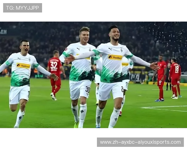 德甲各个球队的主场及球迷文化介绍