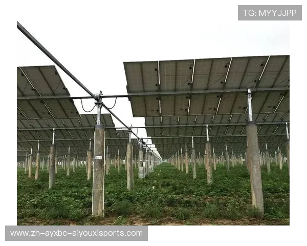 齐鲁大地户外健身器械配置趋势与社区实践案例 齐鲁大地户外健身器械配置趋势与社区实践案例