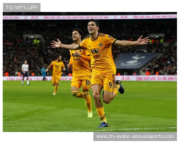 英超足球队纯收入排行及财务健康分析